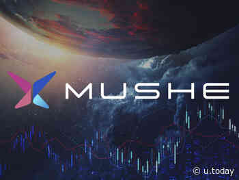 Mushe Token (XMU) Starts Pre-Sale as Cardano (ADA), Dogecoin (DOGE) in Uncertainty - U.Today