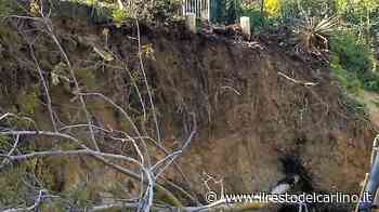 Pista all’Arzilla, scavi ’disinvolti’ "Venuti giù anche i miei tre noci" - il Resto del Carlino