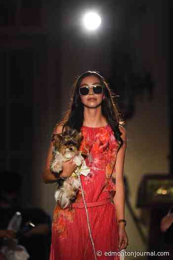 Nick Lees: Haute Dawg gala raises cash for Edmonton Humane Society