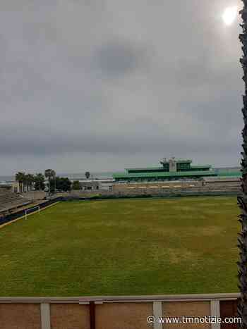 San Benedetto, tagliata l'erba che infestava il parco interno dell' ex stadio Ballarin ⋆ Ultime notizie Marche: Cronaca, Sport, Politica - TM notizie