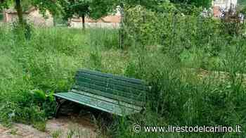 "Erba alta nel parco a Budrione" Appello al Comune ma è privato - il Resto del Carlino