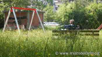 Erba altissima ovunque "Ma il taglio è già partito" - il Resto del Carlino