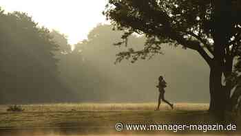 Fit über 50: Mit über 50 besser und schneller werden