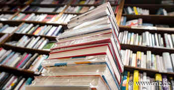 Heidelberg: Von der Bleistiftzeichnung zum Comic am Haus am Wehrsteg - Rhein-Neckar Zeitung