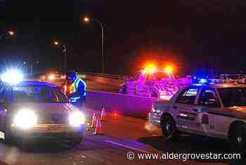 Langley RCMP among tops in yanking impaired drivers off the roads – Aldergrove Star - Aldergrove Star
