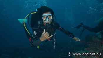 The small island near Australia promising to be the new Great Barrier Reef mixed with Bali