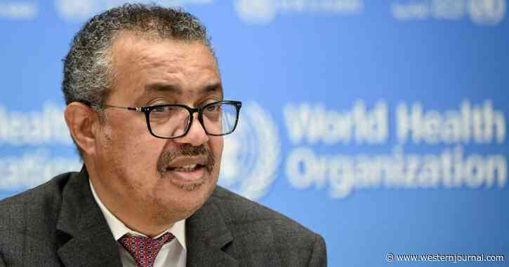 WHO Director Makes Total Mockery of the Truth with Grim Abortion Declaration