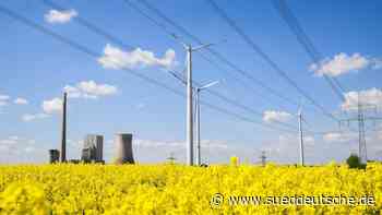 Agrar - Sternberg - Bauern feiern: Höhere Raps-Preise, mehr Anbau - Wirtschaft - Süddeutsche Zeitung - SZ.de