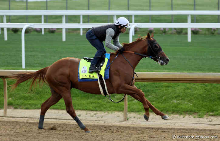 Kentucky Derby Updates | Epicenter, Taiba Now The Favorites