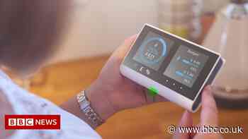 New energy firms took high risk strategy - report