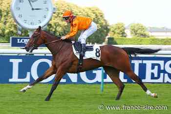 Chantilly : Just Beauty plaisamment - France-sire