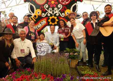 Coatepec y Veracruz, importantes para conservación de orquídeas y cultura: Cuitláhuac - Imagen de Veracruz