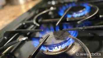 How energy efficient are induction stoves compared to gas? Your questions answered