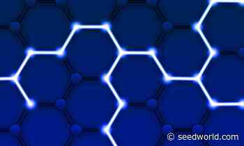 BASF Facilitates Farmer-to-Consumer Connectivity Via Sustainable Palm Blockchain Platform - Seed World