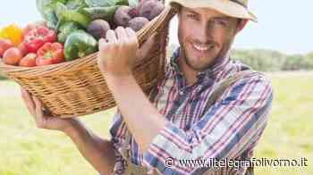 Classe 3M, scuola Galileo Galilei Cecina - IL TELEGRAFO Livorno