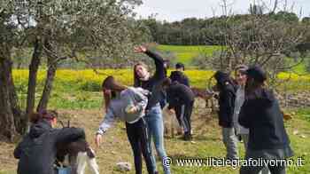 Classe 2B scuola media Galilei di Cecina - IL TELEGRAFO Livorno