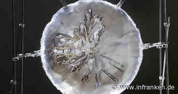 Coburg/Rödental: Ausstellung 'Coburger Glaspreis 2022' in Veste Coburg zur 'Faszination Glas' - inFranken.de