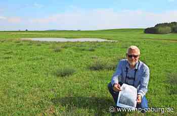 Coburger Land - Gegen die Trockenheit, für mehr Arten - Neue Presse Coburg