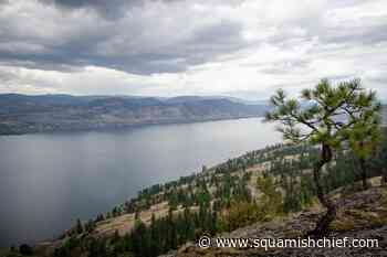 B.C. broker siphoned $2M to fund his Okanagan estate, regulator alleges - Squamish Chief