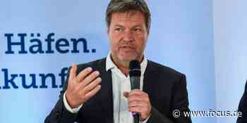 Flüssigerdgas: Habeck sieht Stade als geeigneten LNG-Standort - FOCUS Online