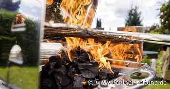 Grillparty-Gäste brutzeln acht ganze Schafe – Polizei schreitet ein - Berliner Zeitung