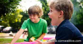 Things to do in Cornwall during May half term - Cornwall Live