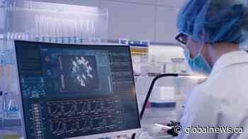 Kingston experts say COVID-19 numbers in our region have hit a plateau - Global News