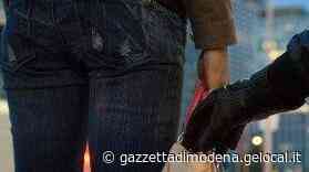 Nonantola. Ladro gattona in strada per rubare una borsa - La Gazzetta di Modena