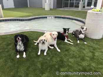 Pet boarding, airport parking facility Bark&Zoom celebrates 5 years in Austin - Community Impact Newspaper