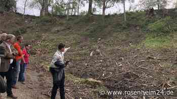 „Ein Saustall“ - Warum so viele Bäume im Wasserburger Wuhrtal gefällt werden mussten und nun herumliegen