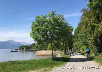 Torna a Ispra "InFiorita" l'evento dedicato al florovivaismo - varesenews.it