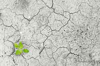 Masetti e Pizzarotti: “Dati Ispra confermano le criticità segnalate da tempo. Urgente intervenire” - ANCI