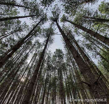 Foligno, a maggio parte il primo corso nazionale di Natural Bathing - Rgunotizie.it