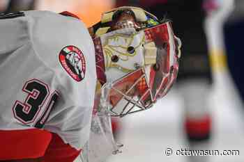 Belleville Senators ousted from AHL playoffs by Rochester Americans - Ottawa Sun