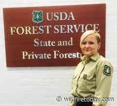 Forest Service Deputy Chief lists her goals for Fire and Aviation Management - Wildfire Today