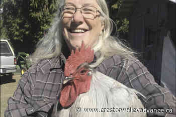 Deadly avian flu wipes out West Kootenay poultry flock - Creston Valley Advance
