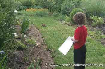 North America’s love affair with the lawn is getting messy - Creston Valley Advance