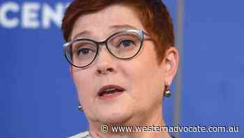 Payne meets with Solomons counterpart - Western Advocate