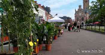 Flower power op 31e Leuvense bloemenmarkt | Leuven | hln.be - Het Laatste Nieuws