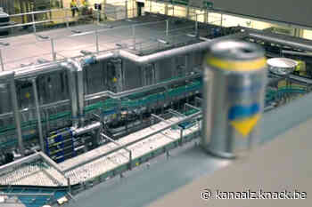 AB InBev brouwt Oekraïens bier in Leuven - Kanaal Z