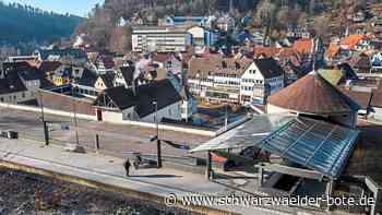 Gültig ab 1. Juni: Wie weit kommt man mit dem Neun-Euro-Ticket ab Calw?