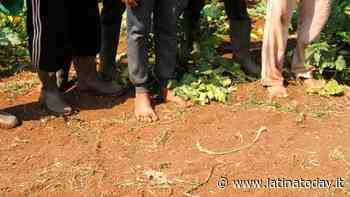 "Quinta mafia": gli alunni dell’Its Bianchini di Terracina incontrano Marco Omizzolo - LatinaToday