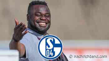 „Gerald, ich liebe dich über alles“, sagt Asamoah beim FC Schalke 04 und sorgt damit für Freudensprünge. - - nachrichtend.com