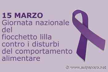 Giornata contro i disturbi alimentari, a Soliera si illumina di lilla il castello Campori - SulPanaro | News - SulPanaro