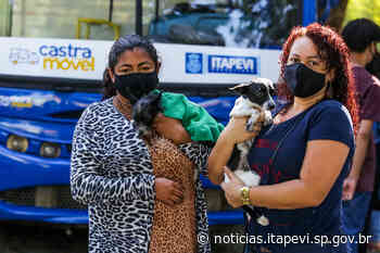 Itapevi realiza 10 mil castrações de cães e gatos - Itapevi (.gov)