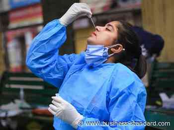 Coronavirus: Decoding Indias excess mortality according to WHO estimates - Business Standard
