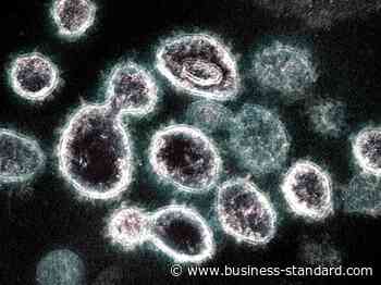 Pakistan reports 46 fresh Coronavirus cases and three more deaths - Business Standard