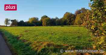 Haarwasen Haiger: Bald eine Freizeit-Oase für ganze Familie - Mittelhessen