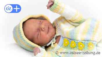 Nachwuchs in Stralsund: Vorpommern begrüßt Rudi und Ronja - Ostsee Zeitung