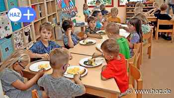 Sehnde: 13 städtische Kitas am Dienstag von Streik betroffen - HAZ